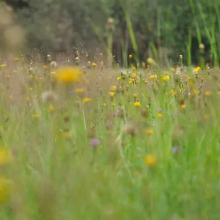 Lägenhet Fanning 91