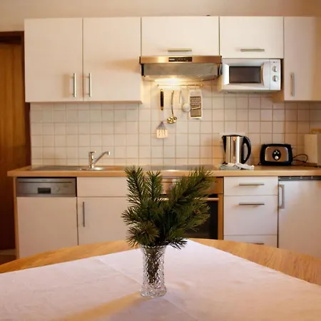 Fanning 91 Apartman *